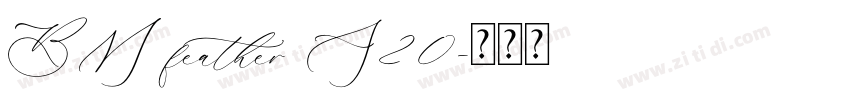 BM feather A20字体转换
